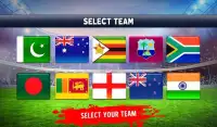 World T10 Cricket Premier League 3D Screen Shot 3