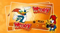 The Woody-Woodpecker Adventure Games Screen Shot 0