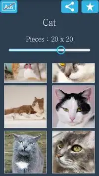 Teka-teki potongan: Kucing Screen Shot 5