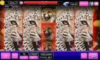 Angry Cheetah Slot Wild Pokies Screen Shot 3