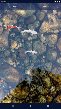 Fish 4K HD Koi Live Pond 3D Screen Shot 6