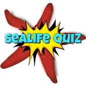 Sea life quiz