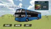 Conductor de autobús 3D Screen Shot 8