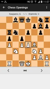 Chess Openings Pro Screen Shot 2