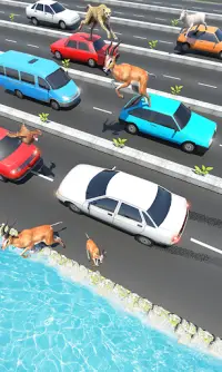 Animal Pets Traffic Highway Cross Screen Shot 1