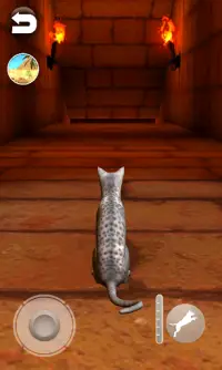 Mısır kedisi konuşuyor Screen Shot 4