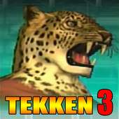 Guide Tekken 3 King