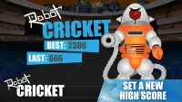 Robot Cricket Screen Shot 5