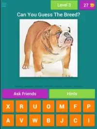 Guess The Dog Breeds Most Popular Dog Breeds Quiz Screen Shot 9