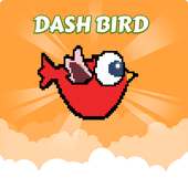 Dash Bird PangPang