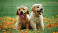 Puzzle Jigsaw Anak Anjing 🧩🐕🧩🐶🧩 Screen Shot 0