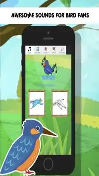 bird games for kids free angry Screen Shot 9