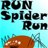 Run Spider! Run!