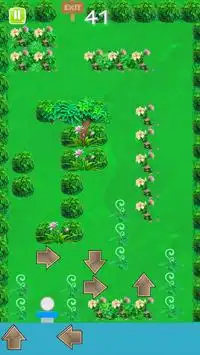 Green Maze Screen Shot 2