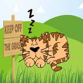 Kitty in Grass - Cute pet cat