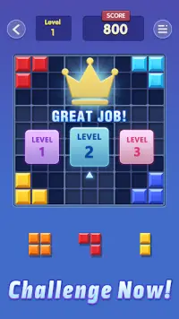 Block Master:Block Puzzle Game Screen Shot 4