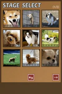 Swapping Dog Puzzle Screen Shot 10