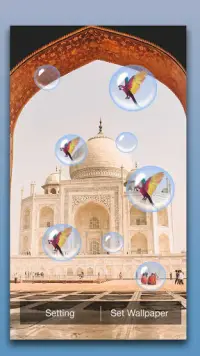 Taj Mahal Live Wallpaper Screen Shot 1
