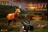 Deer hunter shooter Screen Shot 0