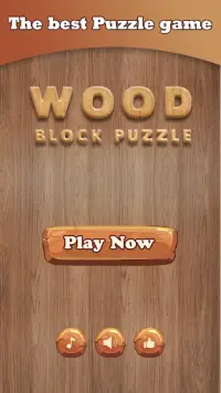 Wood Block Pluzzle 2019 & Wood Puzzle Classic Game Screen Shot 0