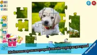 Puzzle Adventures Screen Shot 1