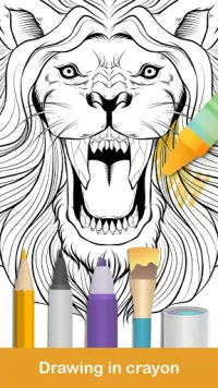 2020 for Animals Coloring Books Screen Shot 1