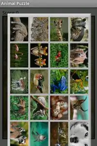 Animal Puzzle Screen Shot 0