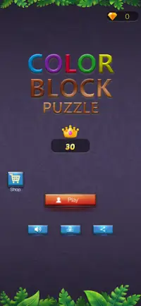 Color Block Puzzle Screen Shot 0