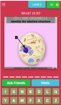 Anatomy Online Quiz: Cell and Organelles Screen Shot 2