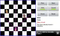 Eight Queen's Puzzle Screen Shot 2