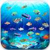 Fish Tank - A Game For Kids