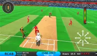 IPL Cricket Game: T20 Cricket Screen Shot 3