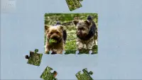 Dogs: Mini Puzzle Game Room Screen Shot 23