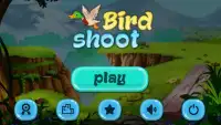 Bird Shoot Screen Shot 0