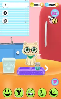 PawPaw Cat | Bạn mèo cưng nói chuyện của tôi Screen Shot 9