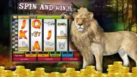 Safari Lion Slot Machine Games - Free Casino APP Screen Shot 1