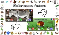 Sons d'animaux Screen Shot 4