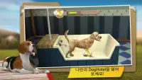 Dog Hotel 프리미엄 – 귀여운 강아지와 놀기 Screen Shot 0