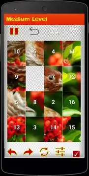 Birds Puzzle Screen Shot 4