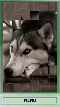 Dogs and puppies puzzle Screen Shot 1