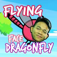 Flying Dragonfly Face