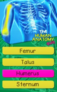 人体解剖学クイズゲーム Screen Shot 7