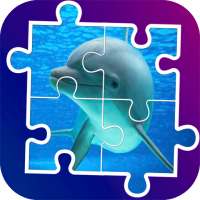 Puzzles de delfines