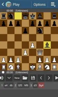 Chess Mester Screen Shot 0