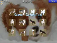 Dog Pairs - Memory Match Game Screen Shot 3