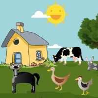 Farm Animals Pictures