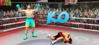 Punch Boxing Game: Ninja Fight Screen Shot 13