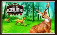 Amazing Jungle Animal Deer Hunting 2018 Screen Shot 0