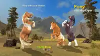 Pony Multiplayer Screen Shot 1