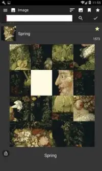 Puzzle and Art - Arcimboldo Works - Screen Shot 0